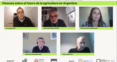 Visiones sobre el futuro de la agricultura argentina